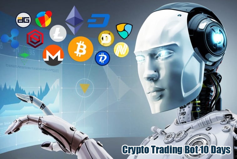 Crypto Trading Bot 10 Days